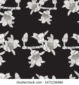 White Bombax Ceiba flowers on a black background. Horizontal pattern of individual flowering branches. Seamless pattern.