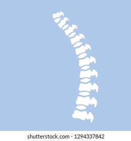 White bone. Back x-ray. Medical care. Poor posture. Intervertebral disc. The curve of the spine. Internal human organ. Cartoon flat illustration
