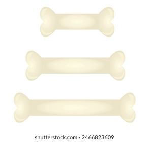 White bone set. vector illustration