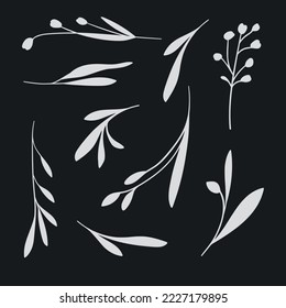 White Botanical sprig set on black background. Vector floral illustration. Spring leaves and flowers isolated on black