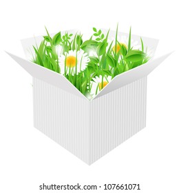 White Box With Grass, Isolated On White Background, Vector Illustration