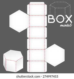 white box model