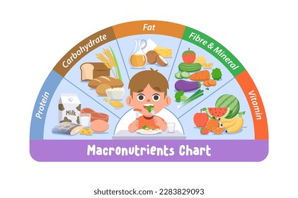 a white boy eating on the table with macronutrients chart, protein, carbohydrates, fat, vitamin, mineral, fibre, and foods, vegetables, fruits, illustration cartoon character vector design on white.