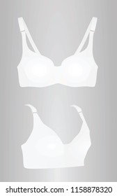White bra. vector illustration