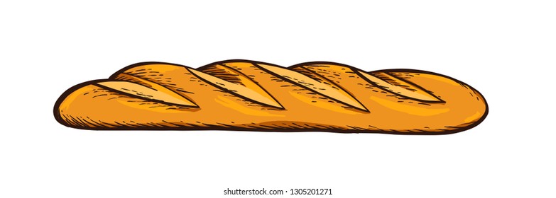 White bread. Baguette. Hand drawn vector. Color vintage engraving illustration for poster, label and menu bakery shop.