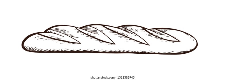 White bread. Baguette. Hand drawn vector. Vintage engraving illustration for poster, label and menu bakery shop.