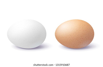 White and brown 3d egg with shadow on surface isolated on white background. Two close-up realistic chicken blank and spotted eggs. 