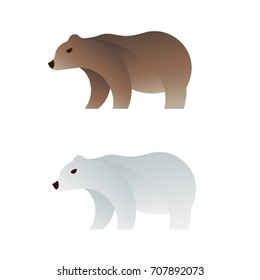 White and brown bear on white background