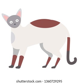 White and brown cat flat illustration on white