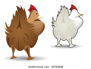 White and brown color chickens