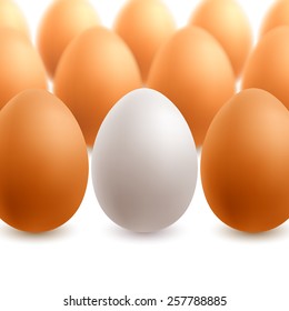 White and brown eggs on white background