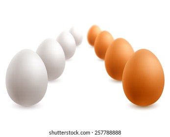 White and brown eggs on white background