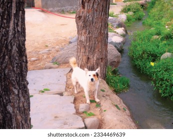 A white buddy dog standing on the bank of water stream is a wonderful animal nature vector ,great for decoration ,textile and fabric ,travel and different website and print purposes