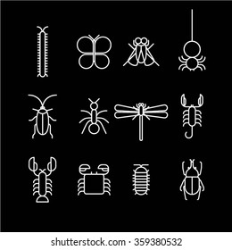 White Bug icons isolated on black background / Arthropods icons / Vector icons
