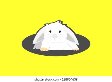 white bunny