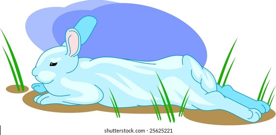 White bunny lying