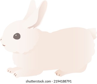 White Bunny Shitting Vector Illustration Other Stock Vector (Royalty ...