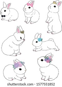 White bunny and various