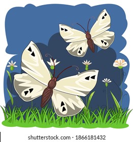 White butterflies against the background of a night landscape. Flowers, grass meadow. Cartoon style. Bright beautiful composition. Isolated object on white. Vector.