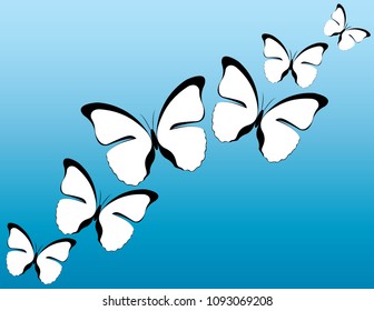 White Butterflies Vector Design