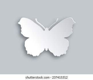 White butterfly
