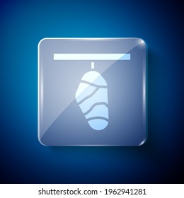 White Butterfly cocoon icon isolated on blue background. Pupa of the butterfly. Square glass panels. Vector