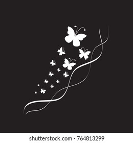 white butterfly, isolated on black
