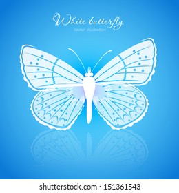 White butterfly on a blue background