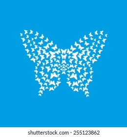 white butterfly on blue background