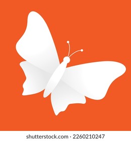 white butterfly on orange background