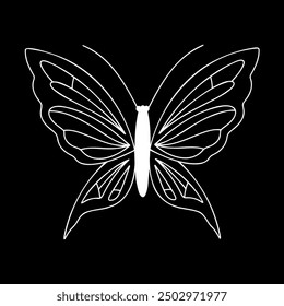 White butterfly with patterns on its wings on a black background