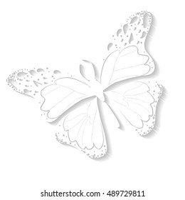 White butterfly with shadow