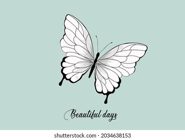 white butterfly vector art designhand drawn
