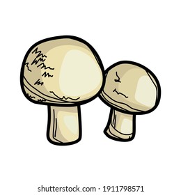 white button mushroom, Set of white button mushroom on white background. white button mushroom vector illustration.