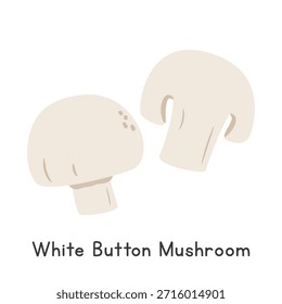 White Button Mushroom Vector Illustration. White Button Mushroom or White Mushroom Cartoon Clipart, Vegetable in Flat Style. Also called Common Mushroom, Champignon, or Agaricus bisporus