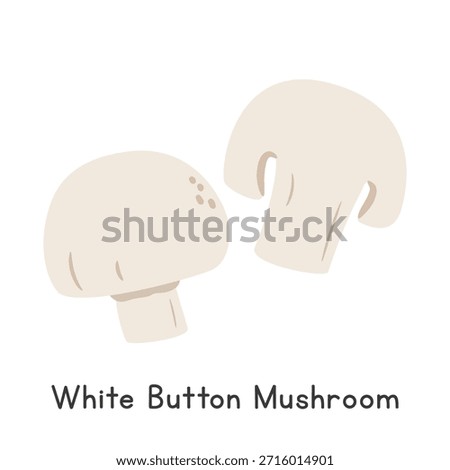 White Button Mushroom Vector Illustration. White Button Mushroom or White Mushroom Cartoon Clipart, Vegetable in Flat Style. Also called Common Mushroom, Champignon, or Agaricus bisporus
