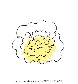 White cabbage black contour drawing with abstract color spot. Whole healthy organic cauliflower. Continuous vegetable concept design. Green salad hand drawn one line flat vector illustration isolated