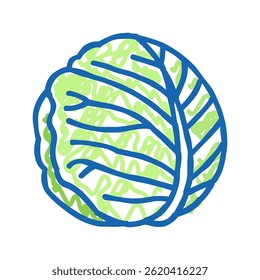 white cabbage doodle icon sketch vector. white cabbage sign. isolated symbol illustration