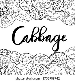 White cabbage, green cabbage heads objects. Vector illustration black and white doodle on white background, isolated cut-out objects and lettering