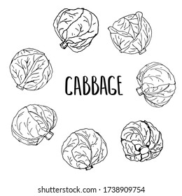 White cabbage, green cabbage heads objects. Vector illustration black and white doodle on white background, isolated cut-out objects and lettering