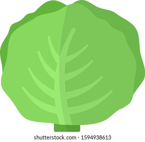 White cabbage head vector flat icon isolated on white