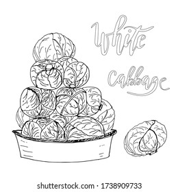 White cabbage heads in a bowl. Vector illustration black and white doodle on white background, isolated cut-out objects and lettering