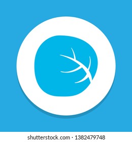 White cabbage icon colored symbol. Premium quality isolated cauliflower element in trendy style.