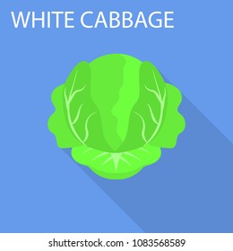 White cabbage icon. Flat illustration of white cabbage vector icon for web design