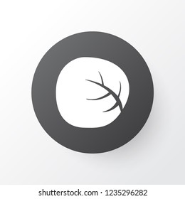 White cabbage icon symbol. Premium quality isolated cauliflower element in trendy style.