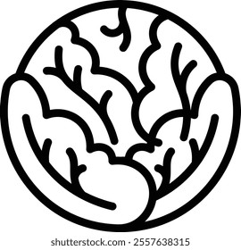 White Cabbage Icon. Thin Line White Cabbage Icon