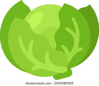 Repollo blanco, ilustración plana aislada en fondo transparente