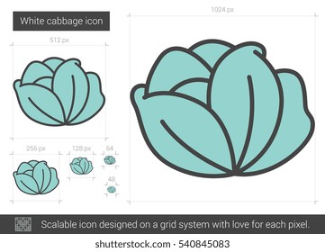 White cabbage vector line icon isolated on white background. White cabbage line icon for infographic, website or app. Scalable icon designed on a grid system.