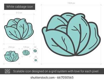 White cabbage vector line icon isolated on white background. White cabbage line icon for infographic, website or app. Scalable icon designed on a grid system.