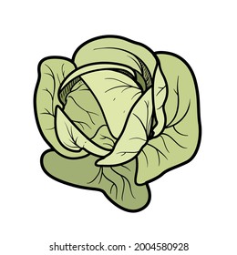 White cabbage view from above color variation for coloring page isolated on white background